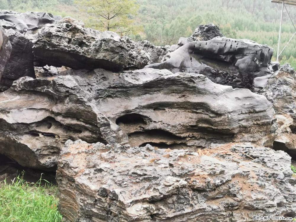 风景石、假山石大量有货，有需要的欢迎联系 - 新手上路 - 随州生活社区 - 随州28生活网 suizhou.28life.net