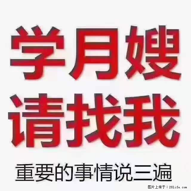 为什么要学习月嫂，育婴师？ - 其他广告 - 广告专区 - 随州分类信息 - 随州28生活网 suizhou.28life.net