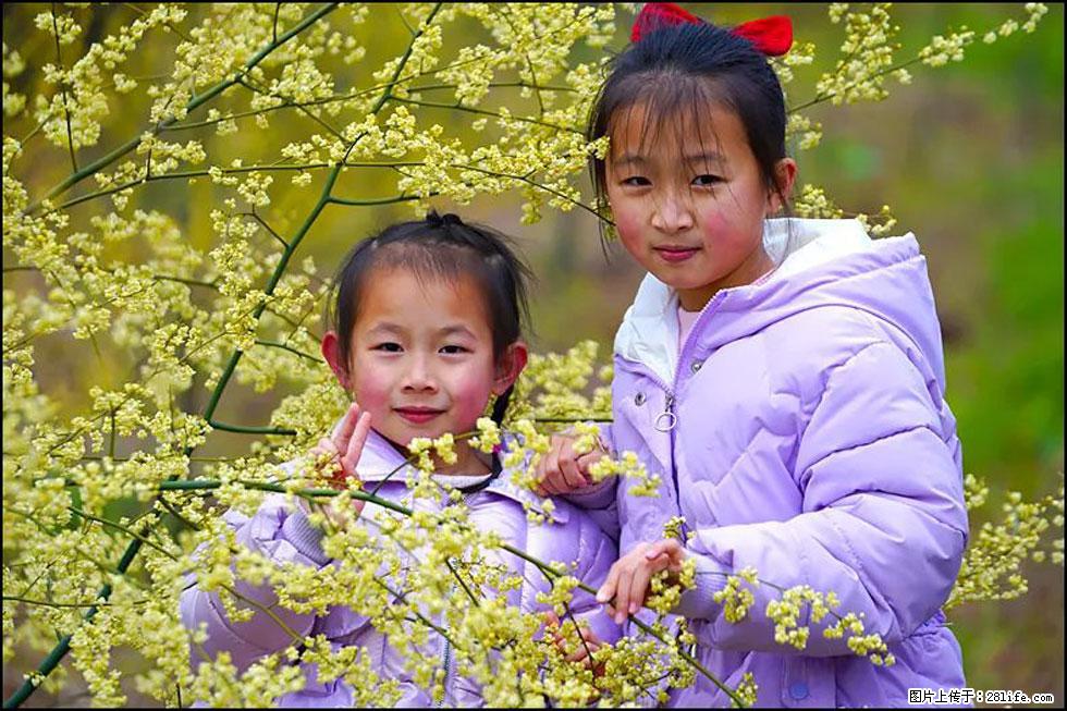 【春天，广西桂林灌阳县向您发出邀请！】米珠山前有片山苍子花在飘香 - 游山玩水 - 随州生活社区 - 随州28生活网 suizhou.28life.net