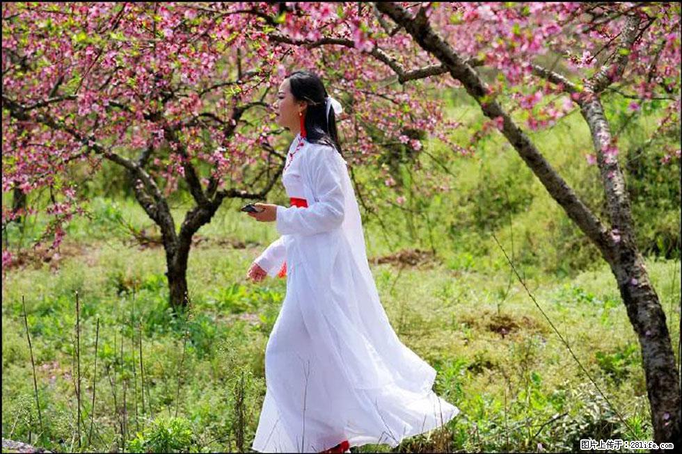 【春天，广西桂林灌阳县向您发出邀请！】官庄村有个醉美的桃花园 - 游山玩水 - 随州生活社区 - 随州28生活网 suizhou.28life.net