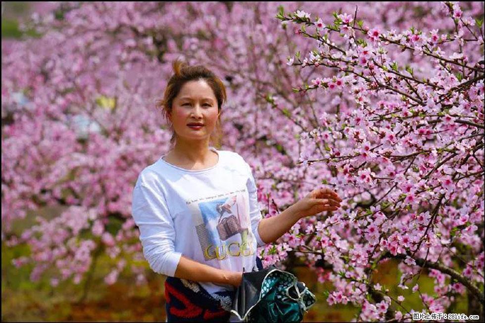 【春天，广西桂林灌阳县向您发出邀请！】官庄村有个醉美的桃花园 - 游山玩水 - 随州生活社区 - 随州28生活网 suizhou.28life.net