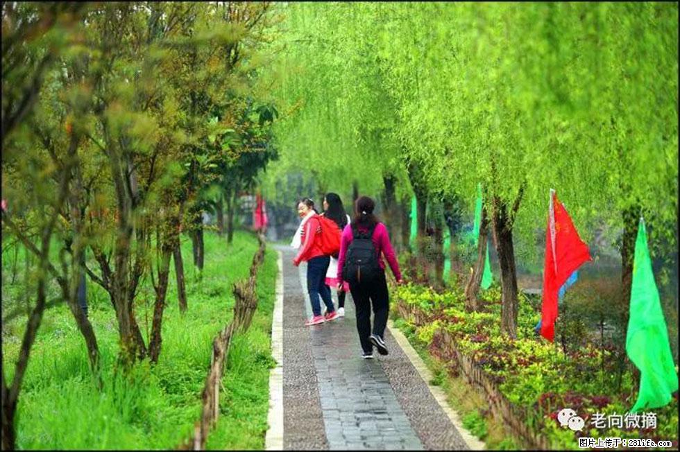 【春天，广西桂林灌阳县向您发出邀请！】江口老街又逢春 - 游山玩水 - 随州生活社区 - 随州28生活网 suizhou.28life.net