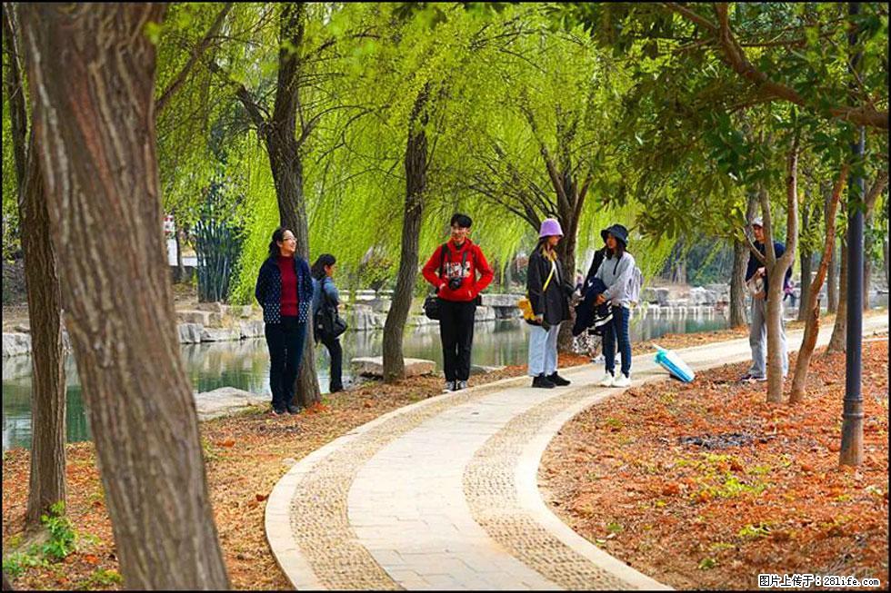 【春天，广西桂林灌阳县向您发出邀请！】江口老街又逢春 - 游山玩水 - 随州生活社区 - 随州28生活网 suizhou.28life.net
