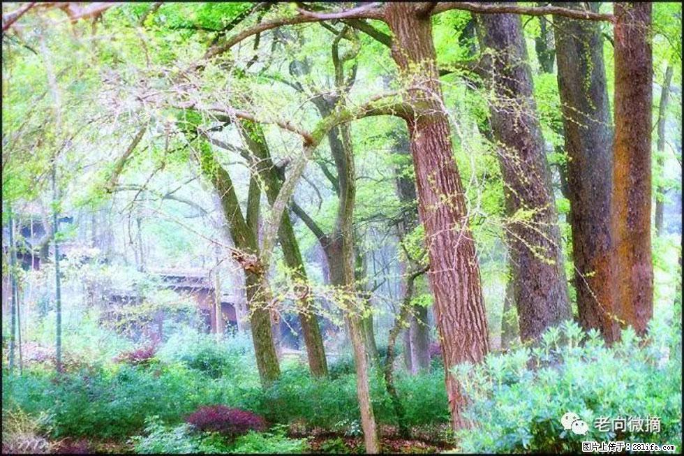 【春天，广西桂林灌阳县向您发出邀请！】在小龙村与春天约会 - 游山玩水 - 随州生活社区 - 随州28生活网 suizhou.28life.net