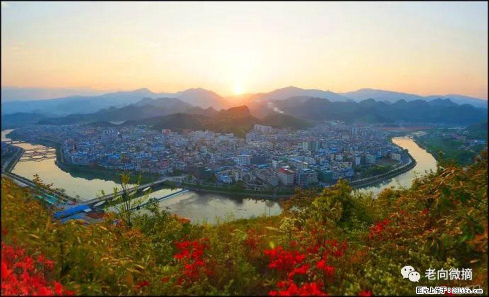 【春天，广西桂林灌阳县向您发出邀请！】登麒麟山，相约映山红 - 游山玩水 - 随州生活社区 - 随州28生活网 suizhou.28life.net