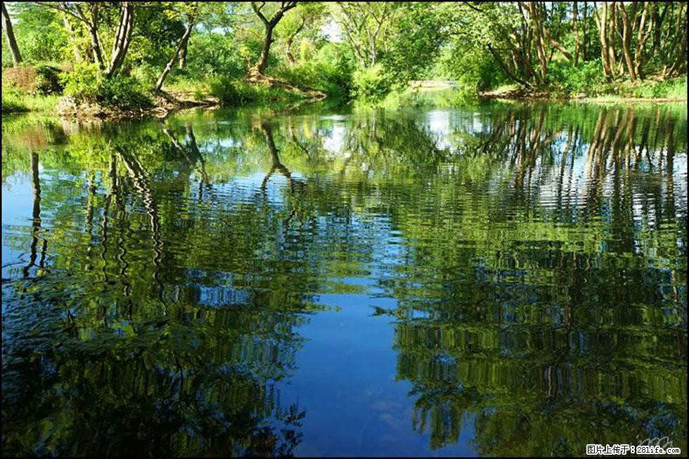 【春天，广西桂林灌阳县向您发出邀请！】熊家寨湿地公园 - 游山玩水 - 随州生活社区 - 随州28生活网 suizhou.28life.net