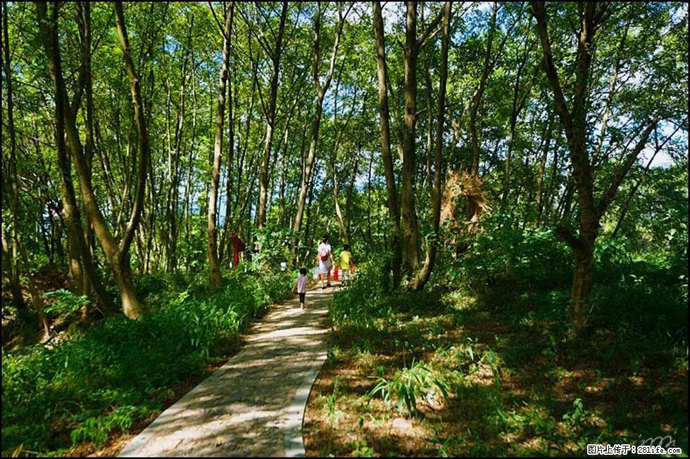 【春天，广西桂林灌阳县向您发出邀请！】熊家寨湿地公园 - 游山玩水 - 随州生活社区 - 随州28生活网 suizhou.28life.net