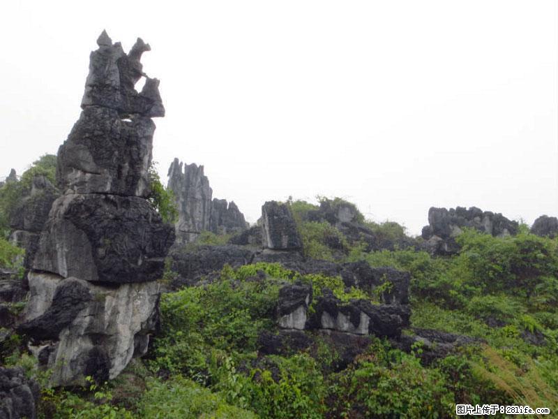 桂林旅游名城景点：灌阳文市石林 - 游山玩水 - 随州生活社区 - 随州28生活网 suizhou.28life.net