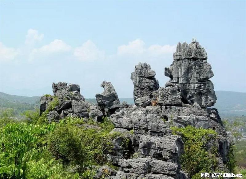 桂林旅游名城景点：灌阳文市石林 - 游山玩水 - 随州生活社区 - 随州28生活网 suizhou.28life.net