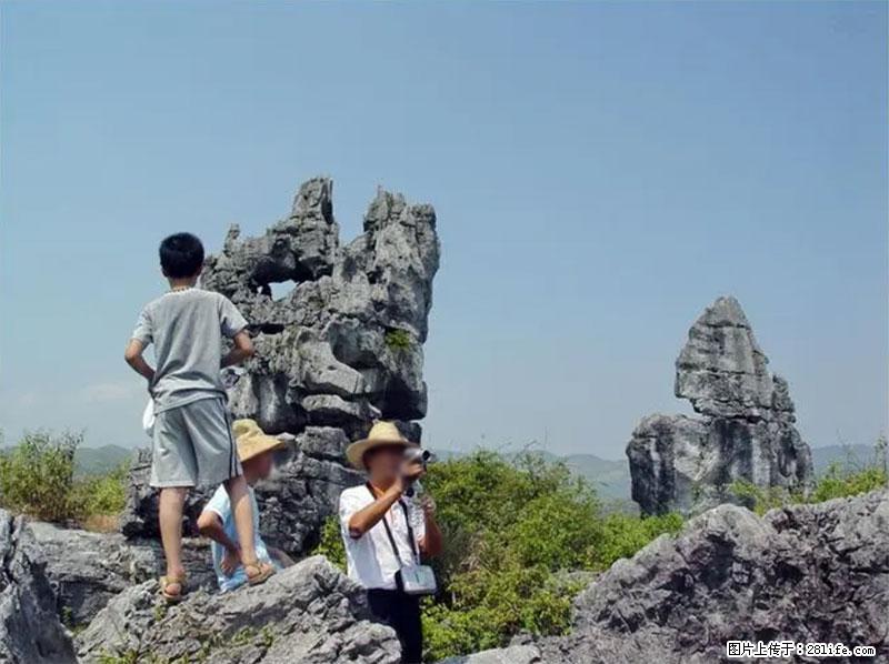 桂林旅游名城景点：灌阳文市石林 - 游山玩水 - 随州生活社区 - 随州28生活网 suizhou.28life.net