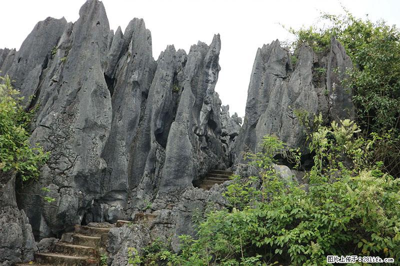 桂林旅游名城景点：灌阳文市石林 - 游山玩水 - 随州生活社区 - 随州28生活网 suizhou.28life.net