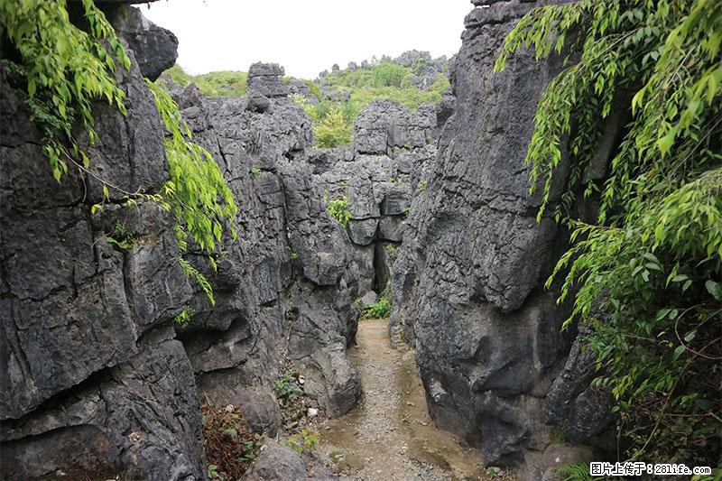桂林旅游名城景点：灌阳文市石林 - 游山玩水 - 随州生活社区 - 随州28生活网 suizhou.28life.net