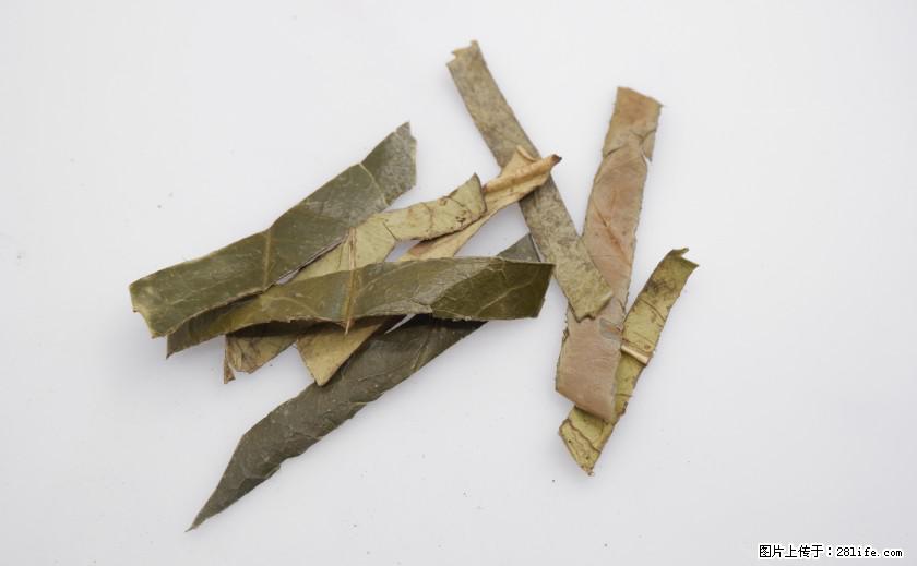 苦丁茶有哪些功效和作用 - 生活百科 - 随州生活社区 - 随州28生活网 suizhou.28life.net