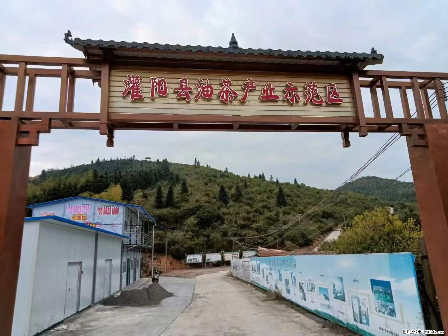 【灌阳县油茶产业示范区】一个有着充实的精神生活的人，对待身外之物自会有一种淡泊的态度 - 土特产 - 饮食特产 - 随州分类信息 - 随州28生活网 suizhou.28life.net