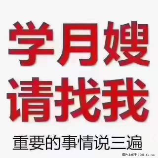 为什么要学习月嫂，育婴师？ - 随州28生活网 suizhou.28life.net