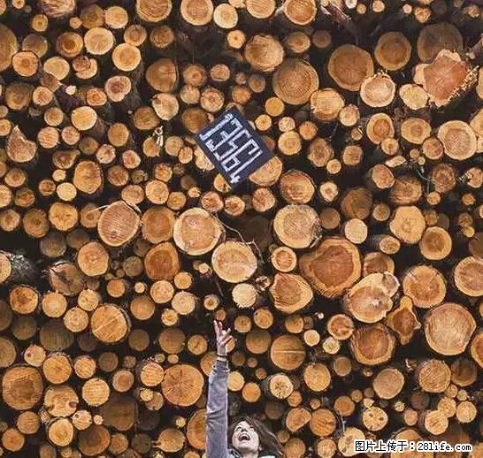 辞掉工作周游世界？现在他们在洗厕所…… - 游山玩水 - 随州生活社区 - 随州28生活网 suizhou.28life.net