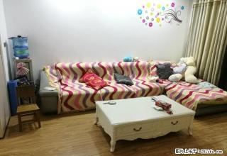 时代广场附近 精装修 两室 带全套家电，拎包入住 - 随州28生活网 suizhou.28life.net