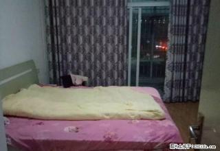 湖岸新城精装一室一厅电梯房特价出租 - 随州28生活网 suizhou.28life.net
