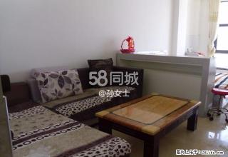 鹿鹤转盘克拉公馆 1室1厅1卫 - 随州28生活网 suizhou.28life.net