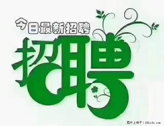 【招聘摄像师】待遇：试用期6000元/月，转正7000元/月+五险一金+餐补+节日福利+奖金 - 职场交流 - 随州生活社区 - 随州28生活网 suizhou.28life.net