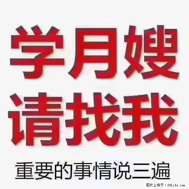 【招聘】月嫂，上海徐汇区 - 职场交流 - 随州生活社区 - 随州28生活网 suizhou.28life.net
