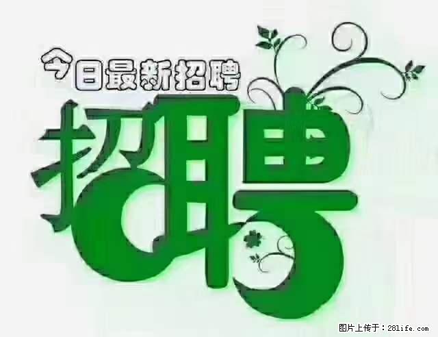 上海青浦区招仓管 - 职场交流 - 随州生活社区 - 随州28生活网 suizhou.28life.net