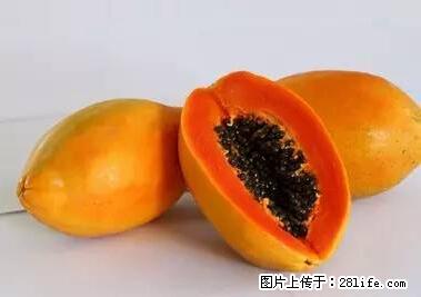 晕车、脚气、牙齿变黄、皮肤粗糙？学会这些三分钟搞定！ - 随州生活资讯 - 随州28生活网 suizhou.28life.net