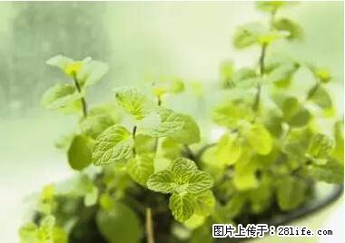 晕车、脚气、牙齿变黄、皮肤粗糙？学会这些三分钟搞定！ - 随州生活资讯 - 随州28生活网 suizhou.28life.net