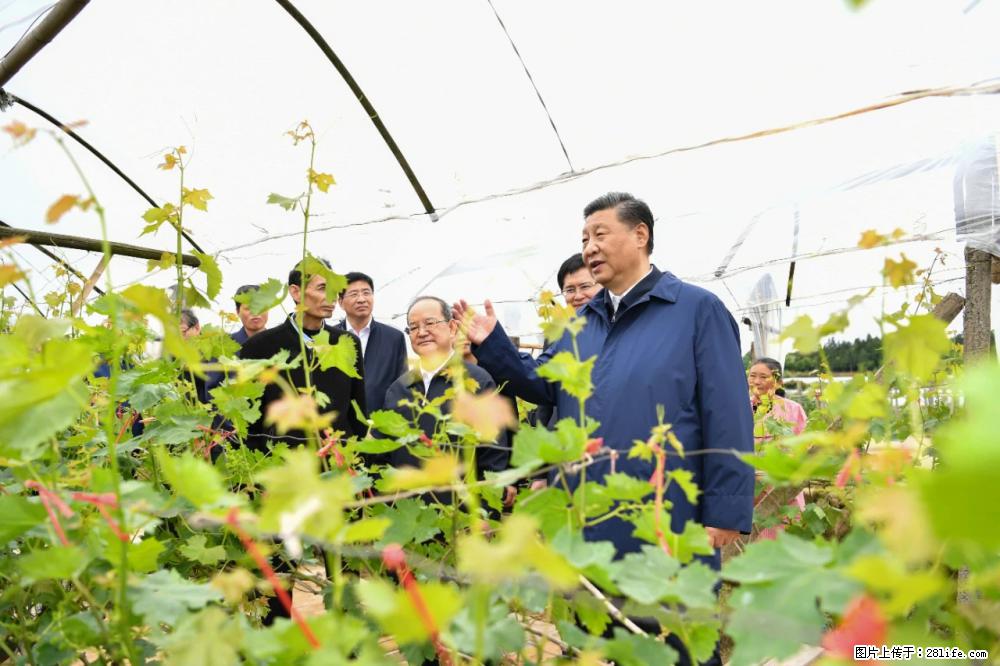 习近平赴广西考察调研 - 随州生活资讯 - 随州28生活网 suizhou.28life.net