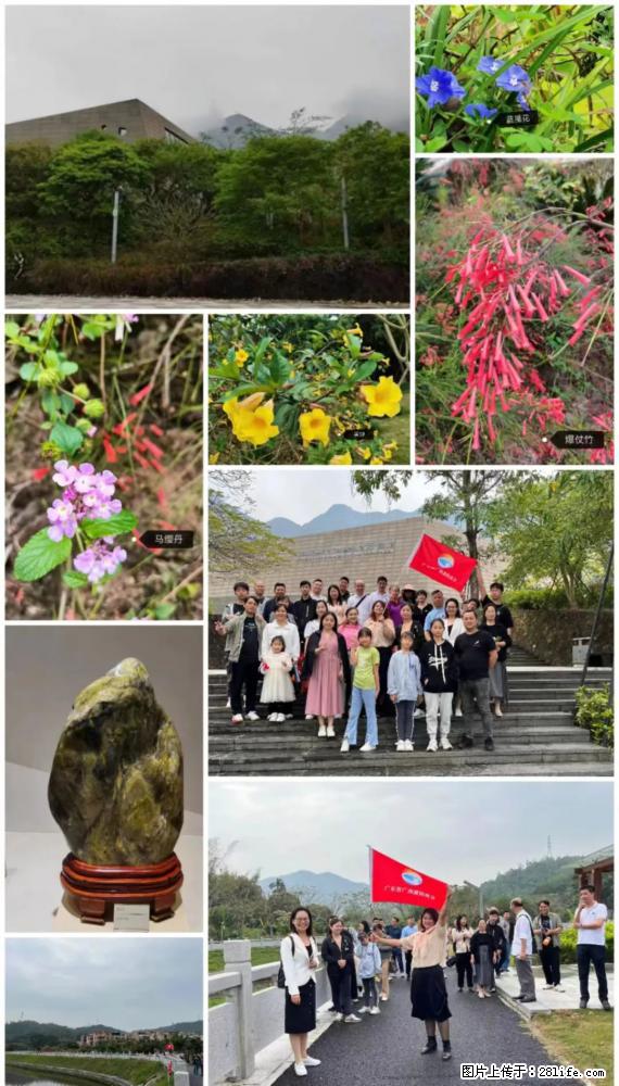 “粤灌文化 美好生活”油茶文化主题活动在广东深圳成功举办 - 随州生活资讯 - 随州28生活网 suizhou.28life.net