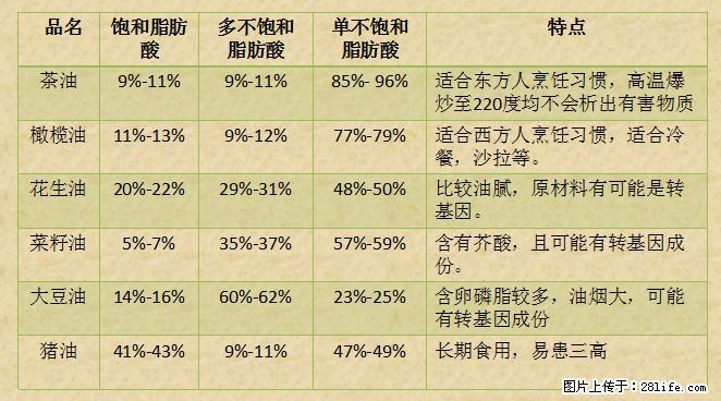 揭秘茶油的5大核心营养成分!被称为人体健康的“守护盾”! - 随州生活资讯 - 随州28生活网 suizhou.28life.net
