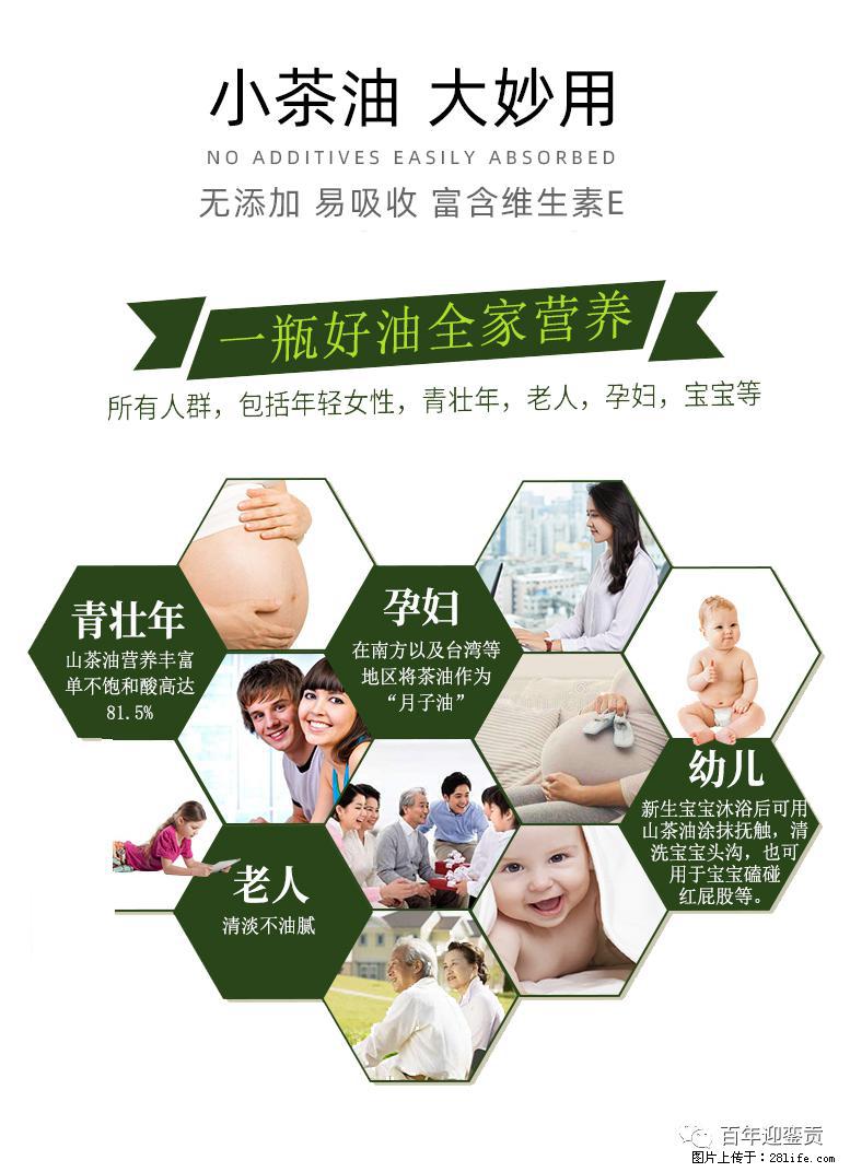 世界没有真相,只有认知,最好的食用油是中国的山茶油! - 随州生活资讯 - 随州28生活网 suizhou.28life.net