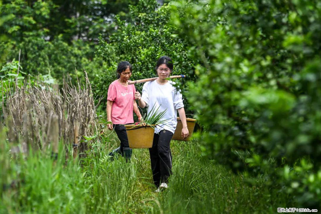 全网追的“扁担女孩”，找了一份暑假工，时薪12元 - 随州生活资讯 - 随州28生活网 suizhou.28life.net
