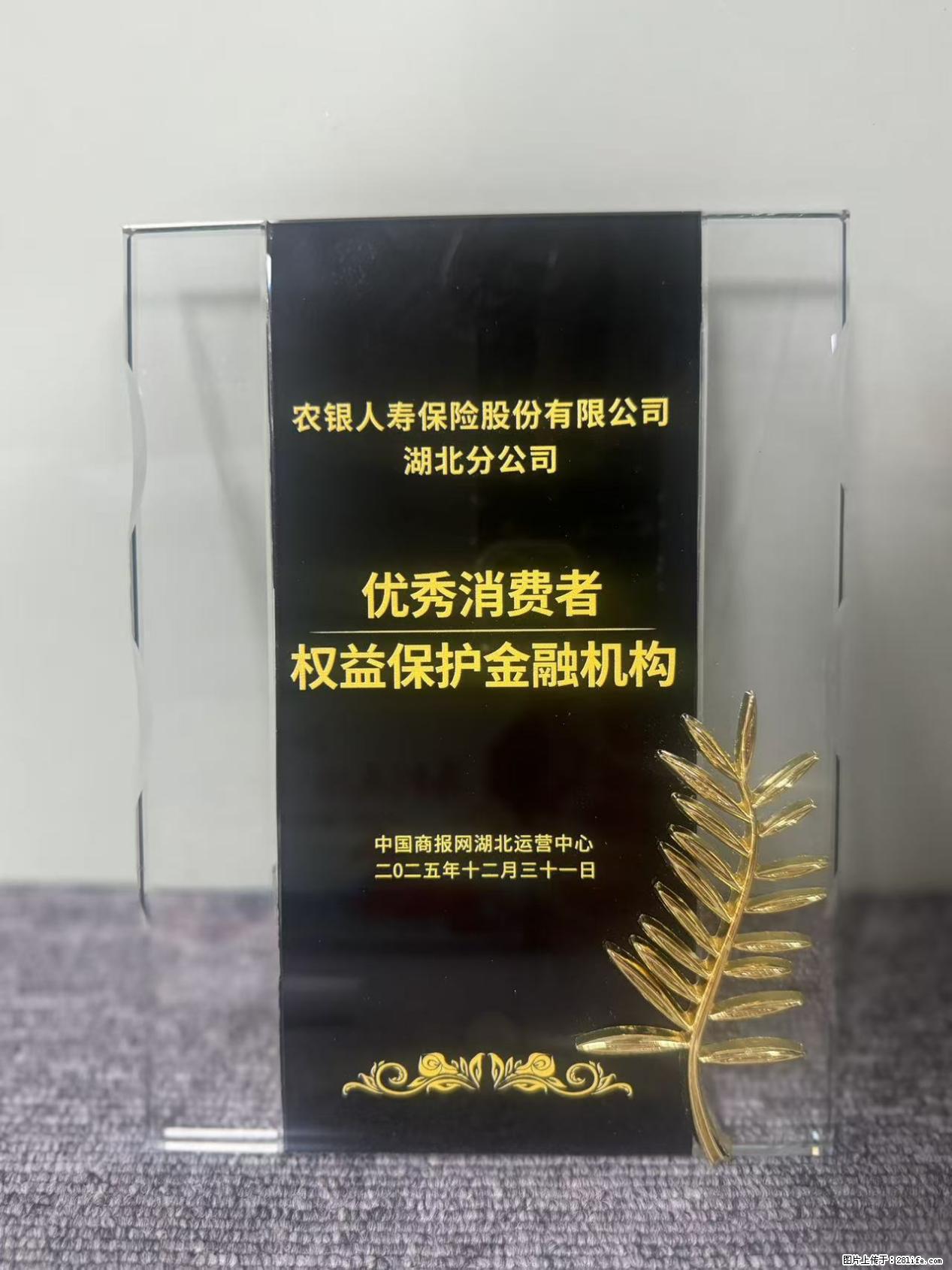 农银人寿湖北分公司荣获中国商报网颁发2025年度“优秀消费者权益保护金融机构” - 随州生活资讯 - 随州28生活网 suizhou.28life.net