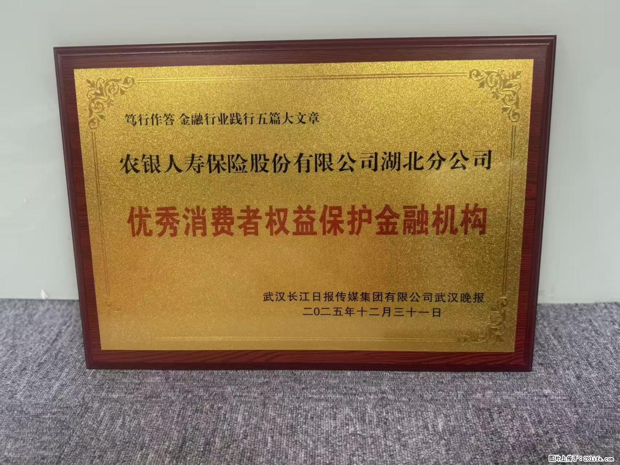 农银人寿湖北分公司荣膺“优秀保险客户服务奖”和“优秀消费者权益保护金融机构”两个奖项 - 随州生活资讯 - 随州28生活网 suizhou.28life.net