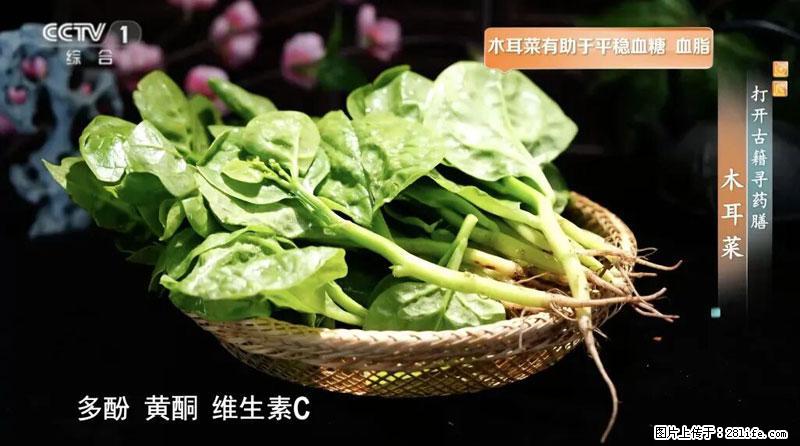 比牛奶补钙还厉害！凉血解毒、稳血糖...这菜冬天必吃，很多人却当草 - 随州生活资讯 - 随州28生活网 suizhou.28life.net