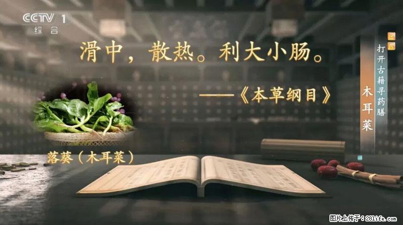 比牛奶补钙还厉害！凉血解毒、稳血糖...这菜冬天必吃，很多人却当草 - 随州生活资讯 - 随州28生活网 suizhou.28life.net