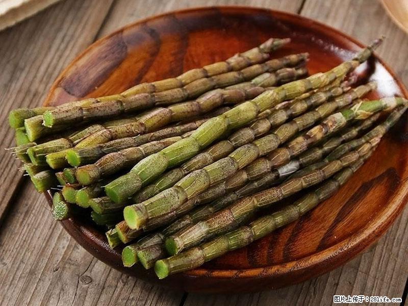 铁皮石斛的作用与功能主治 - 随州生活资讯 - 随州28生活网 suizhou.28life.net